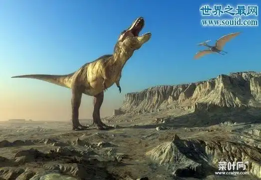 世界十大三角龙之最,最凶狠的三角龙是霸王龙