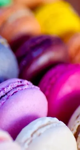 app 壁纸 iphone 清新 素材 欧美 句子 插画 素材 摄影作品 马卡龙