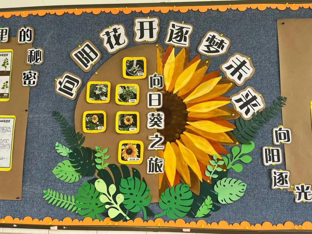 向日葵主题97#主题墙 #班级布置 - 抖音