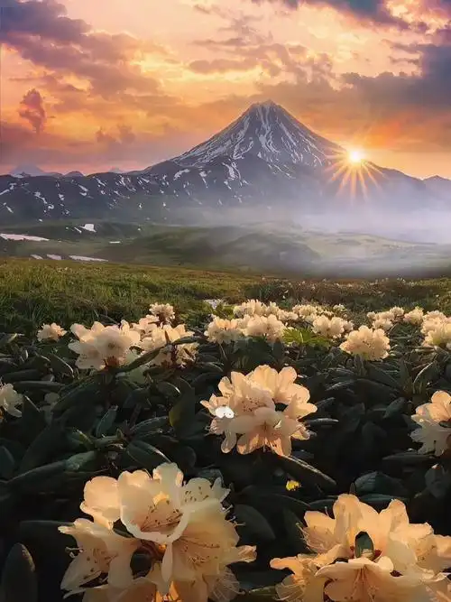 落日何其温柔,人间皆是浪漫#日落 #晚霞 #治愈系风景