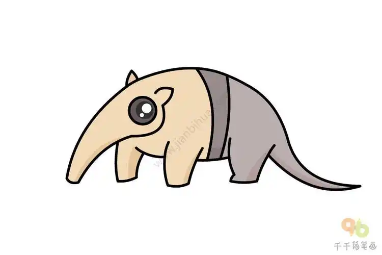 儿童学画画食蚁兽简笔画