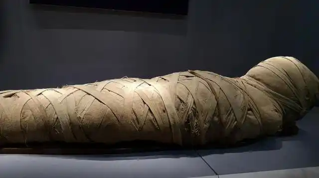 木乃伊