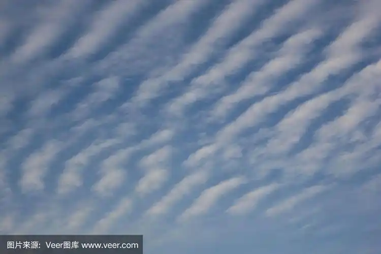 卷云,纤细的,天空,风,气候