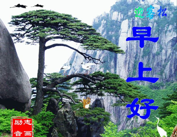 620_480gif 动态图 动图