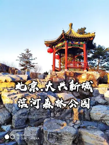 北京大兴新城滨河森林公园好玩吗,北京大兴新城滨河森林公园景点怎么