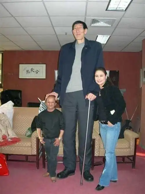 中国最高十大巨人姚明竟然未上榜