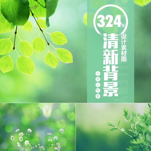 小清新唯美背景素材大图清新叶子小花绿叶梦幻花草绿色图片jpg