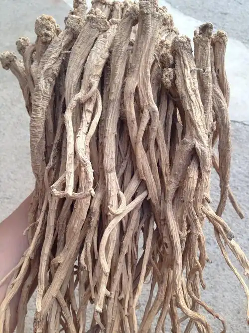 纹党参 甘肃陇南文县中寨纹党 药食两用 出口纹党 养生保健中药材