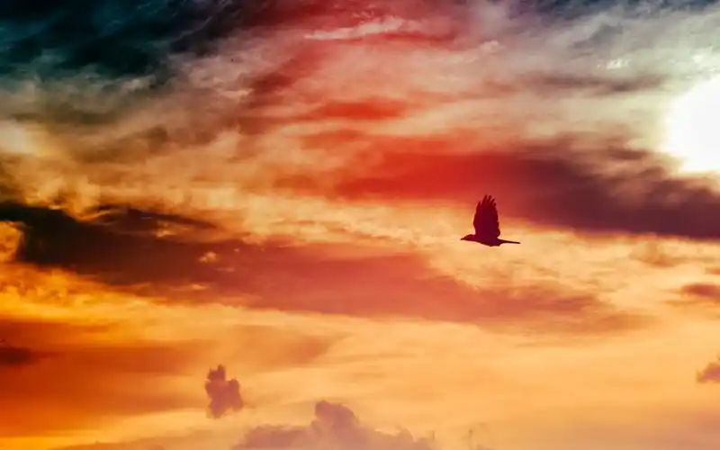 唯美意境夕阳美景图片桌面壁纸