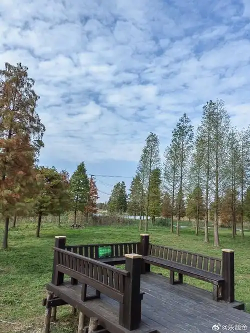 随手拍##上海青西郊野公园