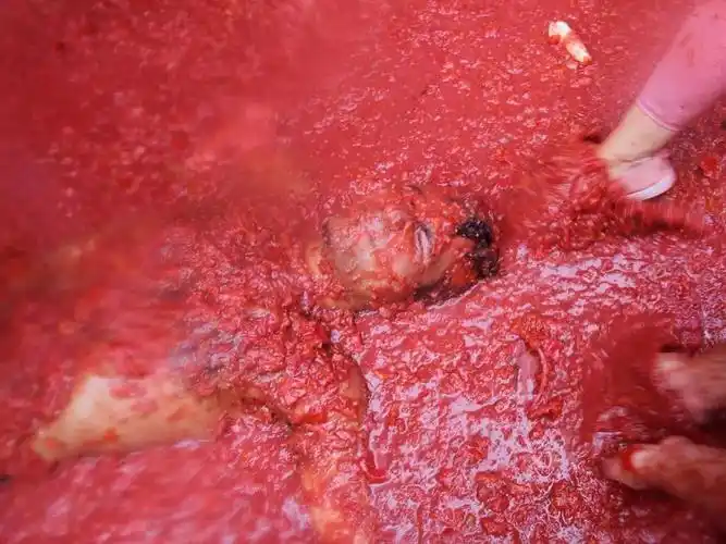 超"血腥"的节日来临!下个月,这座西班牙小镇即将被染红!