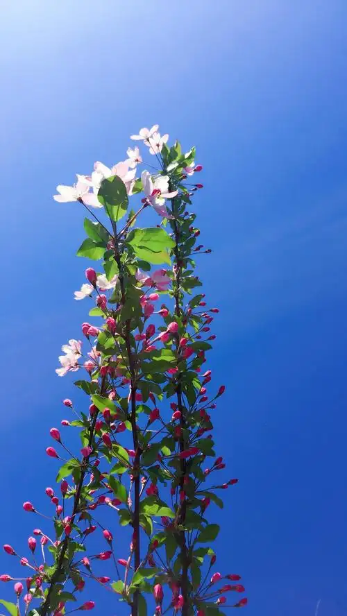 春天带着孩子走进大自然