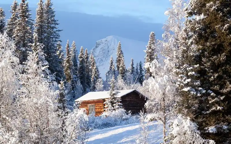壁纸 瑞典,森林,木屋,雪,冬天