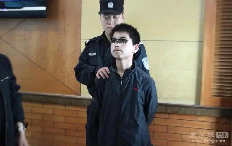 犯罪嫌疑人被抓捕归案.