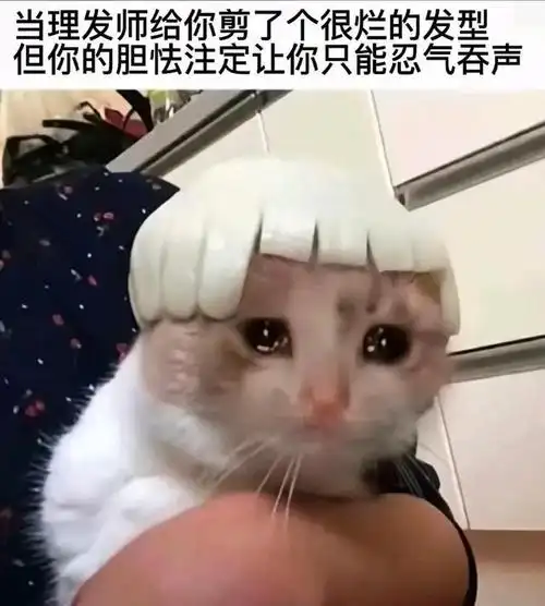 沙雕搞笑图片不开心的时候来看看吧