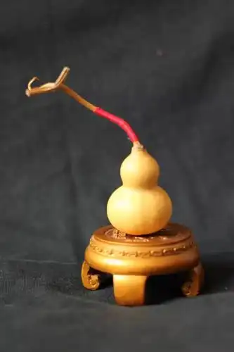 现在才知道小葫芦竟是化解煞气的法宝