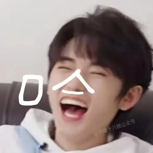 时代少年团表情包第434期