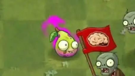 小黄梨测评-植物大战僵尸2