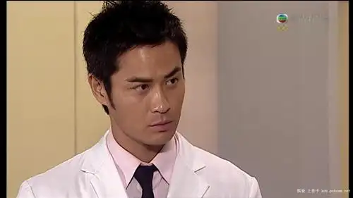 醉打金枝》,黄日华《天龙八部》,陶大宇《刑侦3》,林保怡《鉴证实录》