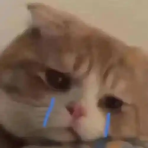 幽默沙雕表情包