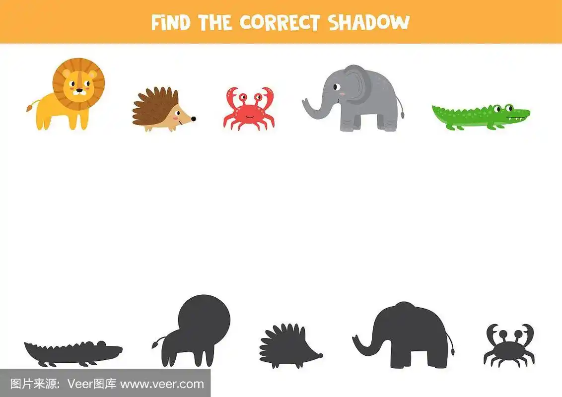 找到合适的动物影子.可爱的卡通动物设置.