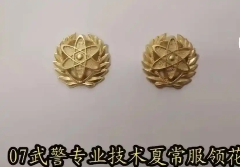 武警军装领花一共分六种.分别是武警警官橄榄枝领花,武警战士松枝领花