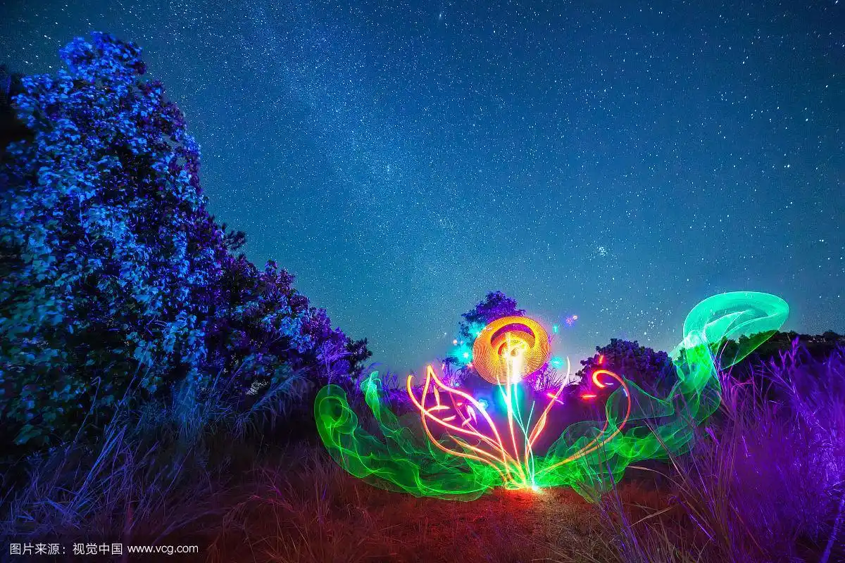 星空下神秘的发光植物
