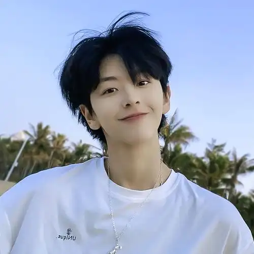 假发男中分 蓬松帅气_假发男短发网红韩版帅气中分短直发自然蓬松逼真