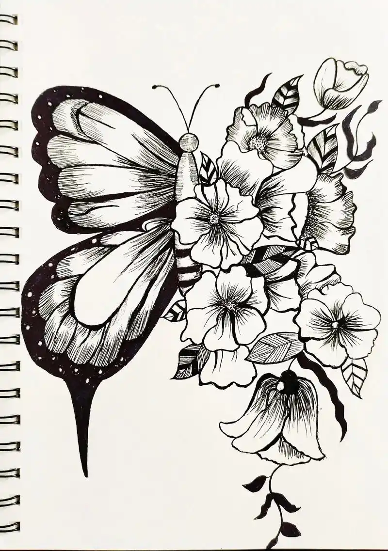 零基础黑白线描画打卡第二天  蝴蝶.虽然很潦草,但画完还是挺 - 抖音