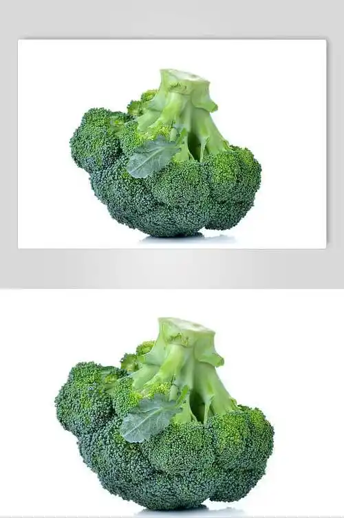 西兰花高清图片