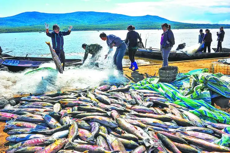 渔业涵养有序,渔民获得大丰收.