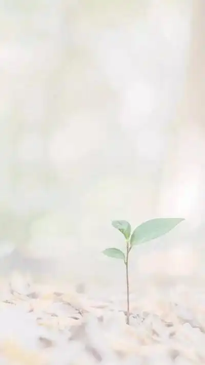 发芽 万物复苏 素雅 清新 浅色系 手机壁纸 聊天背景