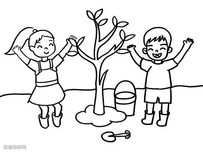 保护树木宣传画简笔画