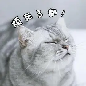 猫咪烦死了都表情包