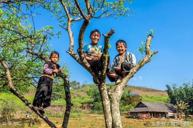 你小时候有过爬树的经历吗?高高的树,你能爬上去吗?