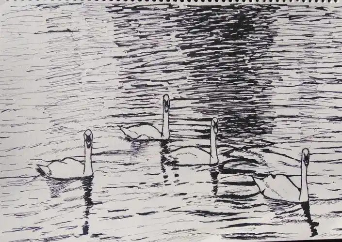 夕阳红老年大学素描班部分同学作业集锦