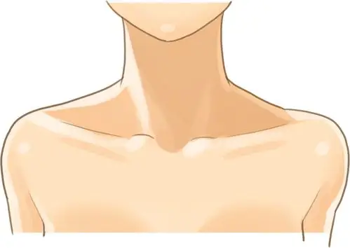 人物总是画不好?颈部,肩部的画法很重要啊!初学者入门必学技巧 - 其他