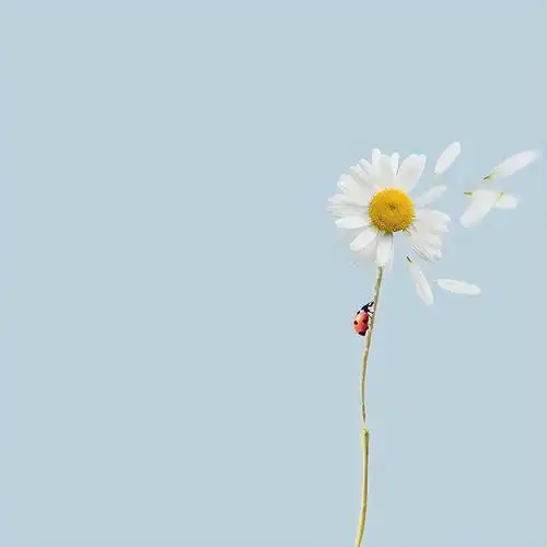 心境淡然的人生感悟说说,一语惊醒梦中人