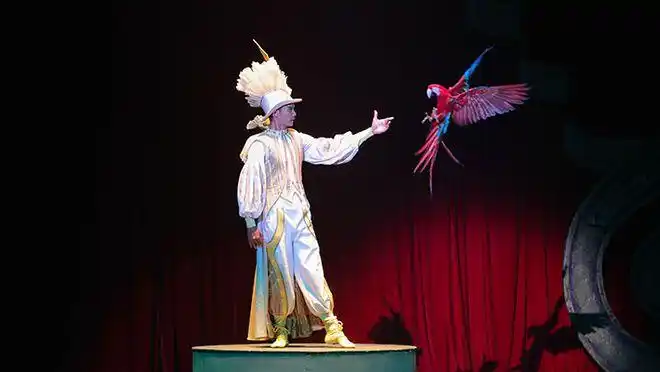 除此之外,这里还有 海狮,鹦鹉,魔术,狮子以及小丑三兄弟的表演,精彩