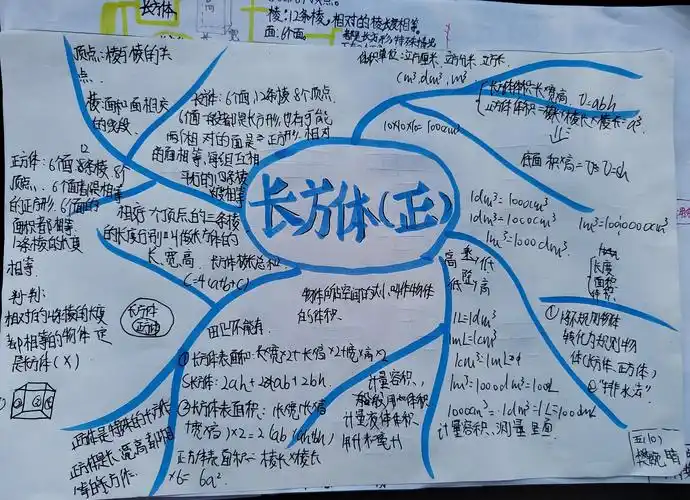 学生作品人教版五年级下册第三单元长方体和正方体思维导图