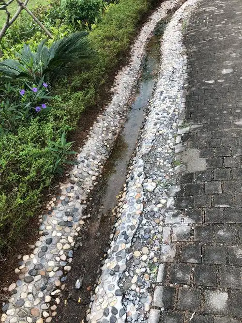 宝安城管局开展2018年花城项目检查工作 - 美篇