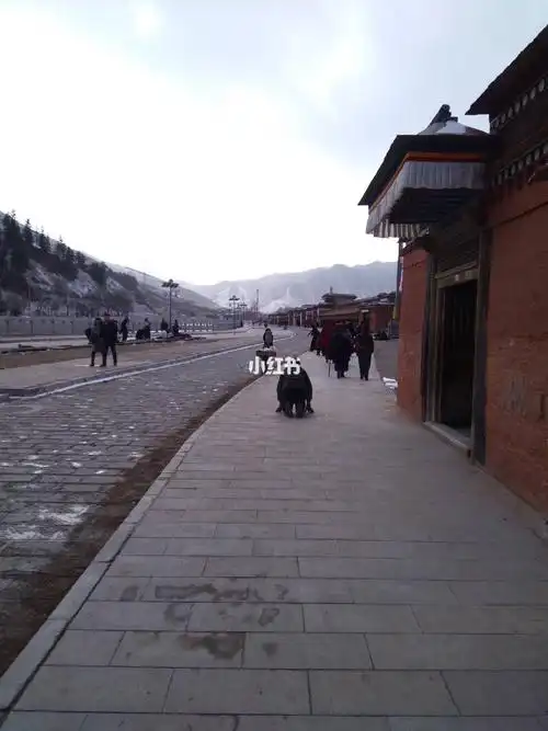 天下无贼之拉卜楞寺