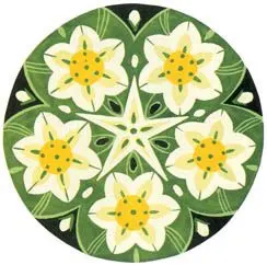 2017年秋季学期苏少版六年级美术上册 我种的植物教案设计