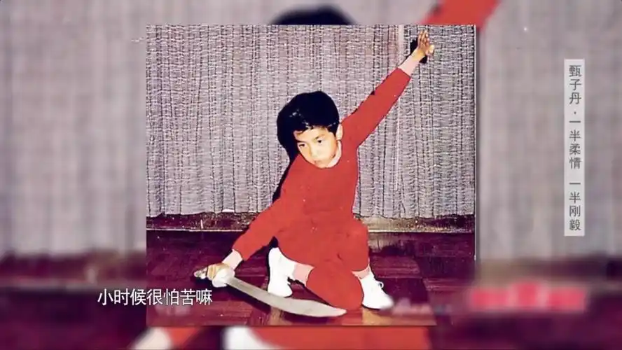 甄子丹成名后被奉为"一代宗师",可他成名前27年憋屈史谁人知?