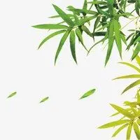 好看竹叶头像_微信头像图片大全