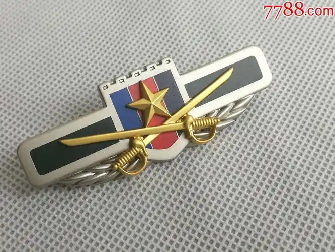 全新双刀胸标一个