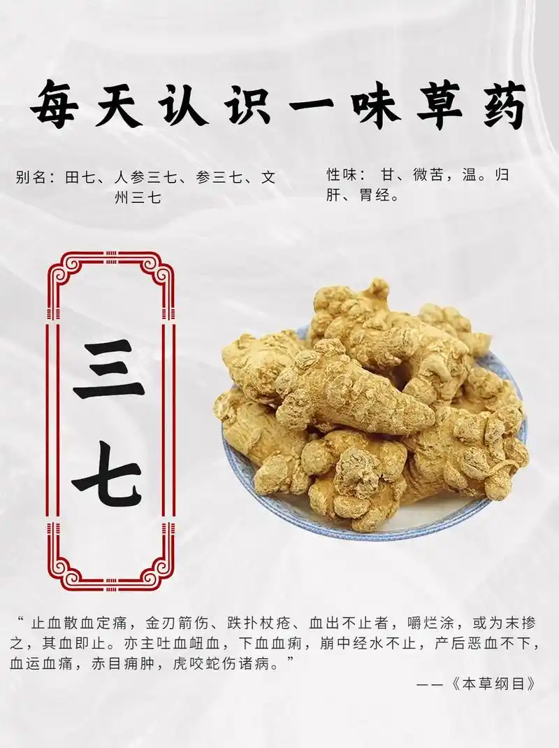 三七中草药.#全民学中药 #中药材 #图文扶持计划入口 #图 - 抖音