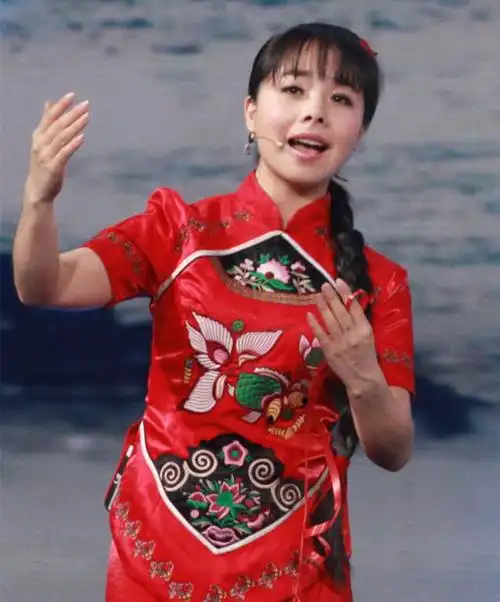 歌手王二妮:土得掉渣是大美,亲情婚姻都有泪