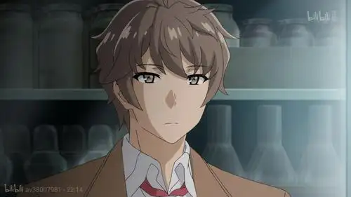 青春期猪头少年咲太