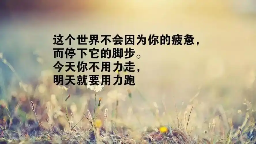 朋友圈正能量经典励志语句,发说说的早安人生哲理句子 - 正能量网